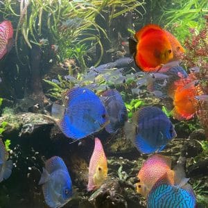 503640824_17881591269322122_3337004104060917841_n