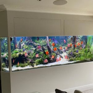 503786617_17881591212322122_8164074111644744870_n