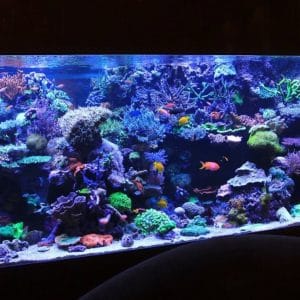 503804181_17881590990322122_7777983882705697853_n (1)