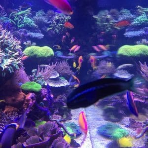 503851727_17881591056322122_7402155683899255667_n