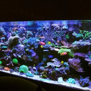 503898395_17881590999322122_2162612422800042434_n