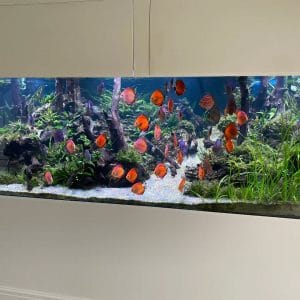 503933025_17881591233322122_1522378396160523456_n