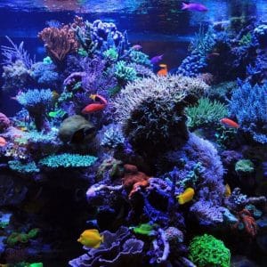 504107088_17881591008322122_2081319659894548050_n