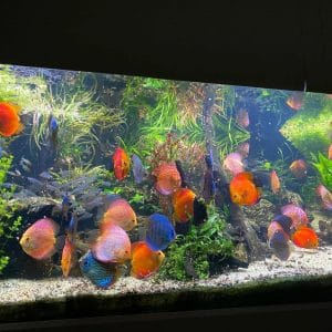 504608742_17881591242322122_4211733795493106318_n (1)