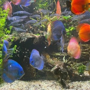 504813547_17881591260322122_5228881108075130285_n