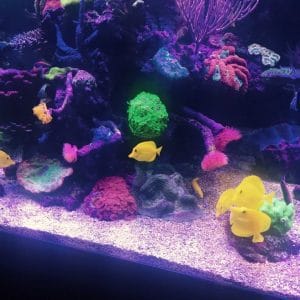 504836668_17881591065322122_2732291337960684249_n