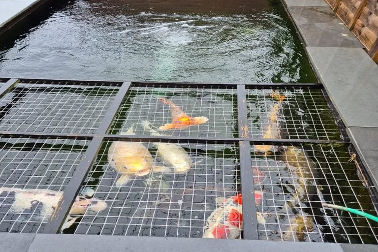 505740754_17881523976322122_4451332785834623884_n