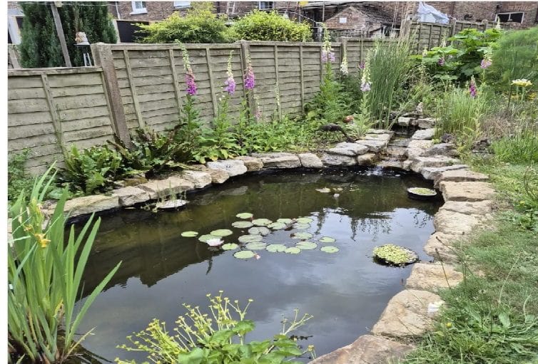 Screenshot_13-6-2025_11412_www.instagram.com