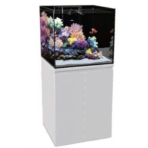 Aquariums